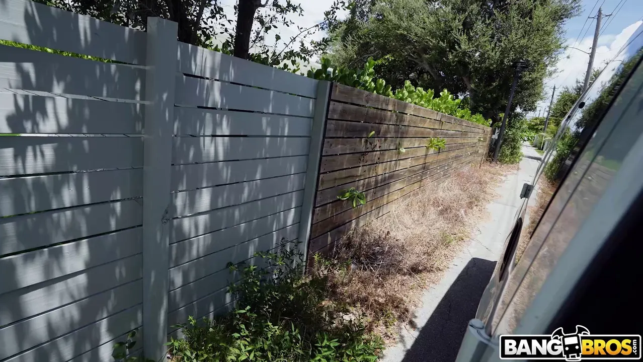 Bangbros 'PAWG Freaks On The Bus' starring Brookie Blair (Photo 104)