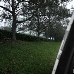 Bunny Fae in 'Bangbros' A Cute Bunny In The Bus (Thumbnail 975)