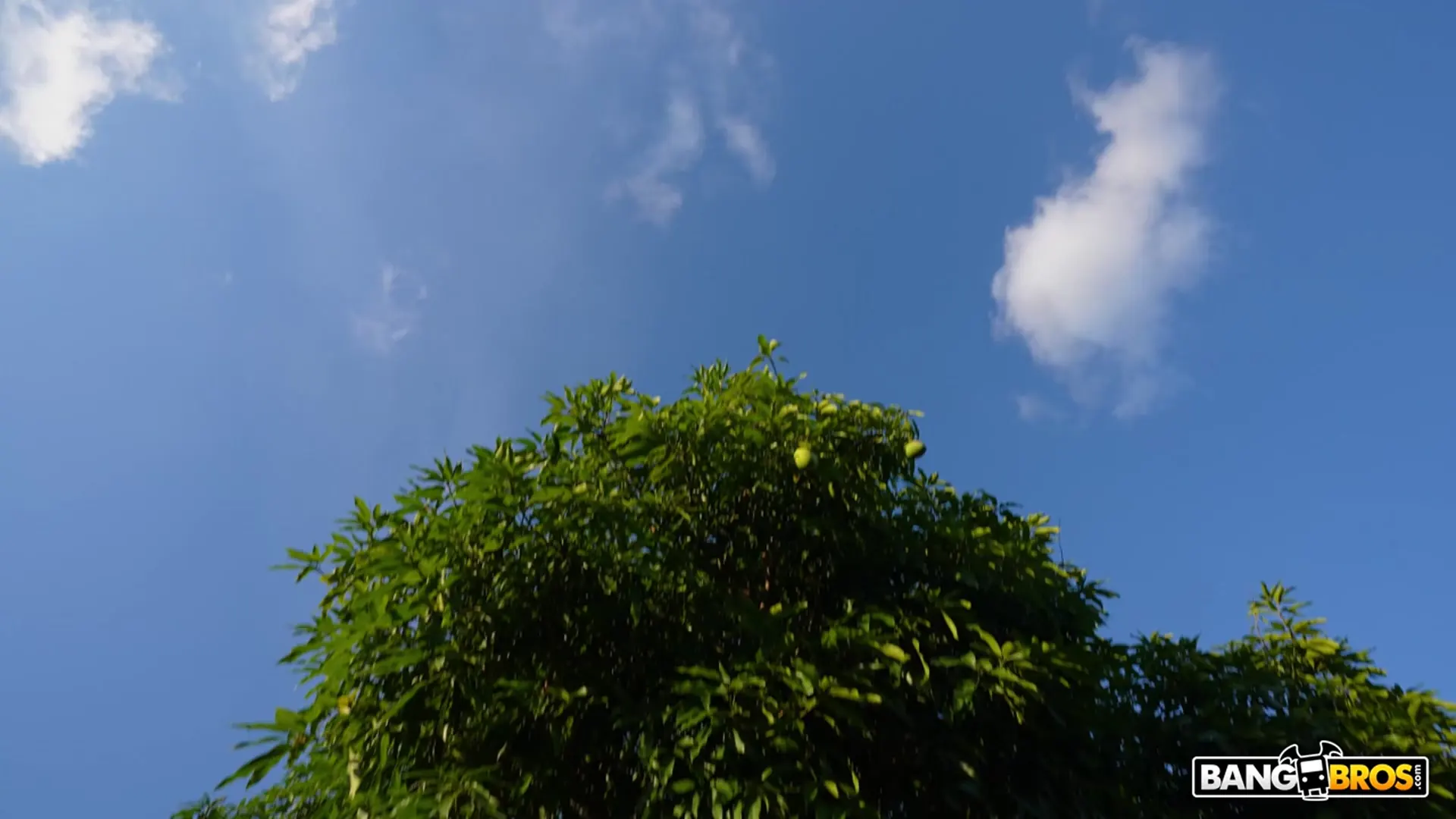 Bangbros 'Likes it Hot' protagonizando Carmen Caliente (foto 64)