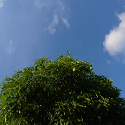 Carmen Caliente en 'Bangbros' Likes it Hot (Miniatura 64)