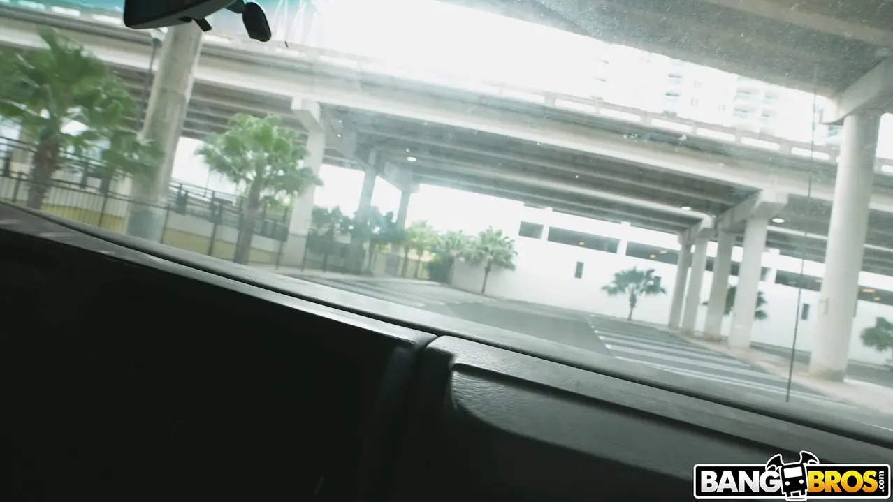 Bangbros 'La furgoneta del dinero' protagonizando Carrie Sage (foto 1)