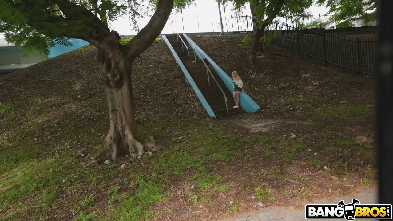 Bangbros 'La furgoneta del dinero' protagonizando Carrie Sage (foto 75)