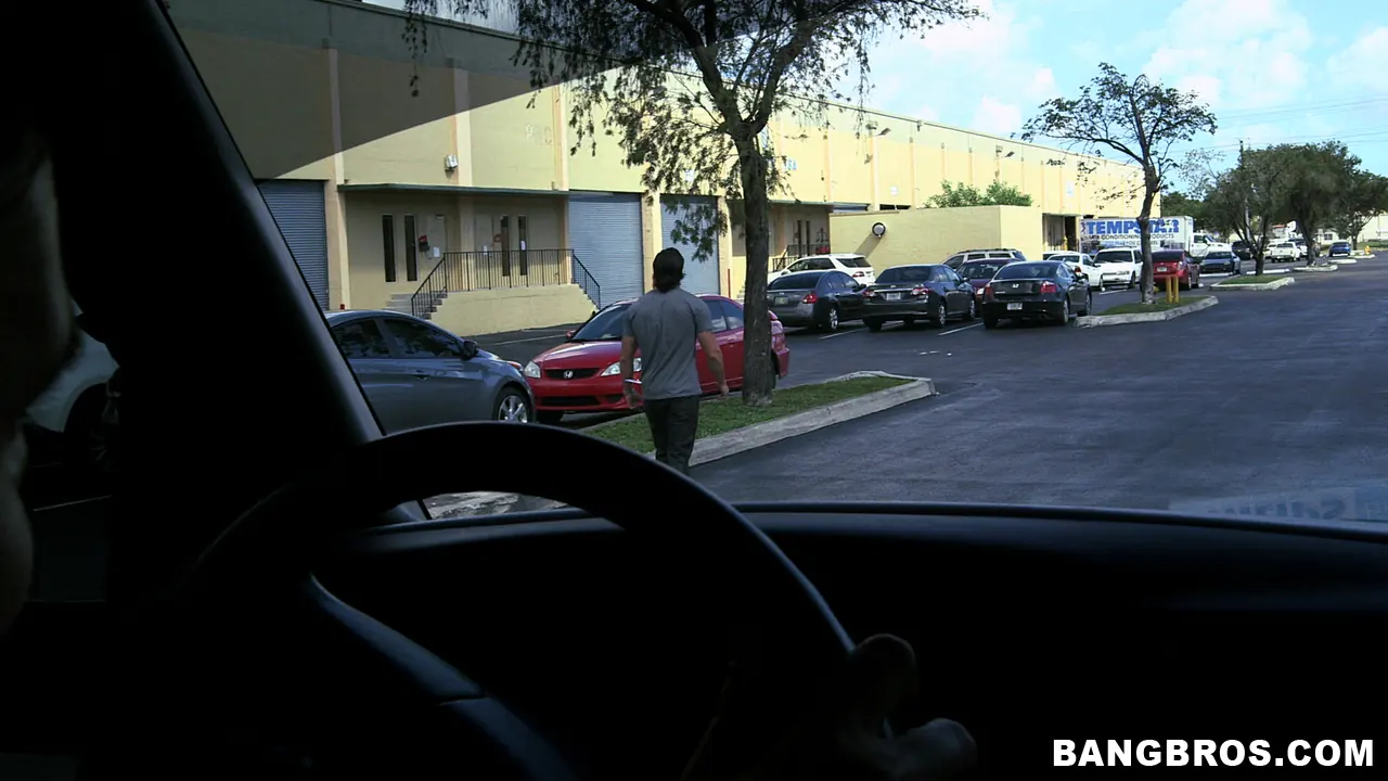 Bangbros 'In Miami For Dick To Fuck' protagonizando Carter Cruise (foto 406)