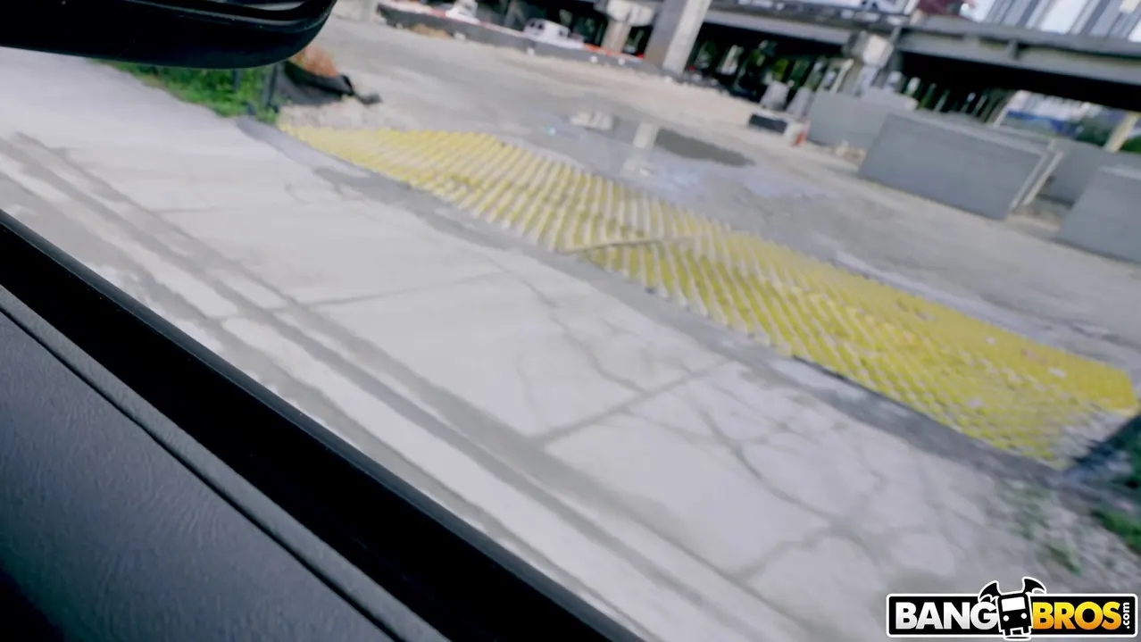 Bangbros 'Homeless Pussy' starring Chanel Brooks (Photo 1)