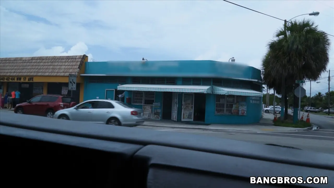 Bangbros 'White girl with some ass gets fucked' starring Charli Maverick (Photo 165)