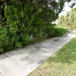 Chiara Chianti in 'Bangbros' Chiara in All Her Glory (Thumbnail 592)