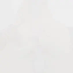 Christina Savoy in 'Bangbros' Tits, Tats and Ass (Thumbnail 792)