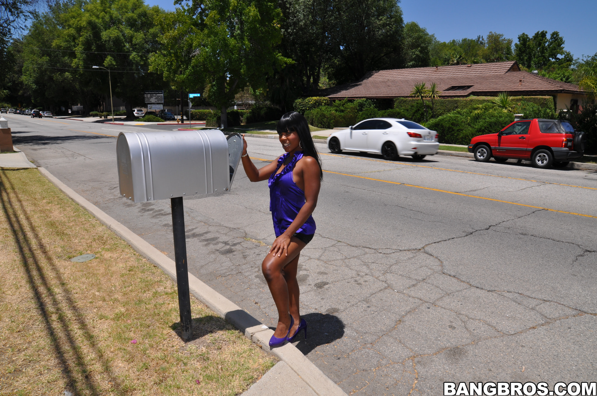 Bangbros 'Poolside Fun' starring Coffee Brown (Photo 1)