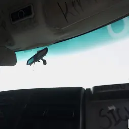 Daisy Bean en 'Bangbros' Daisy se folla en el autobús (Miniatura 1)