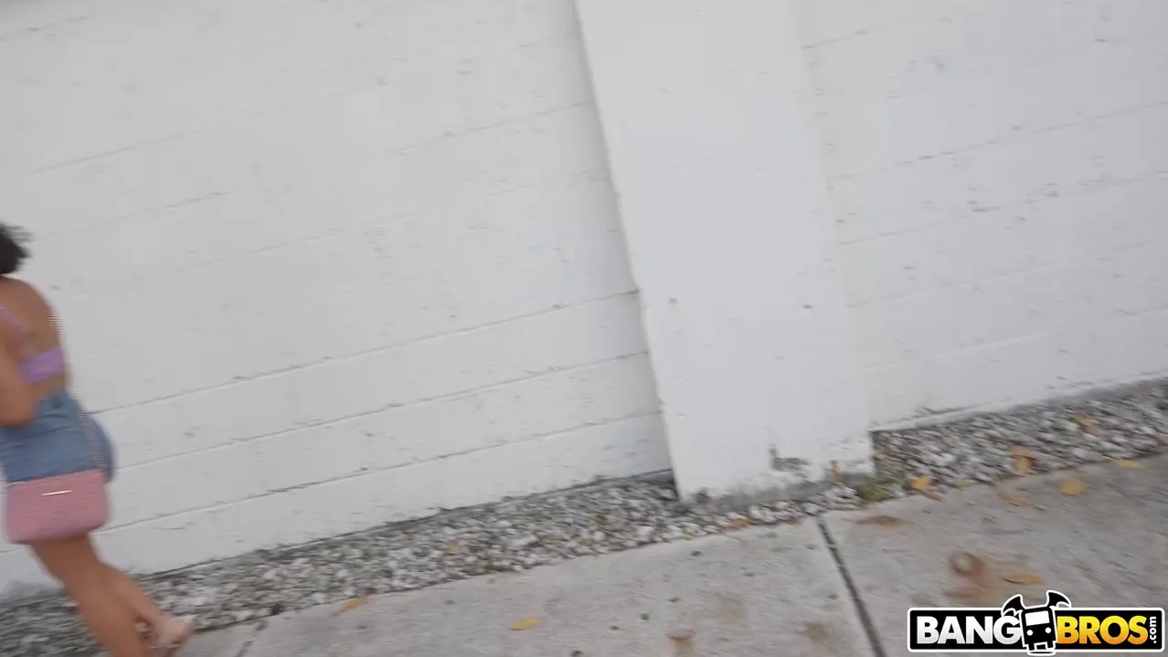 Bangbros 'Linda chica se folla por dinero' protagonizando Dani Diaz (foto 75)