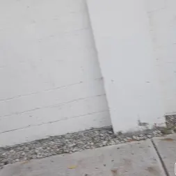 Dani Diaz en Linda chica se folla por dinero (foto 75) Dani Diaz en 'Bangbros' Linda chica se folla por dinero (Miniatura 75)