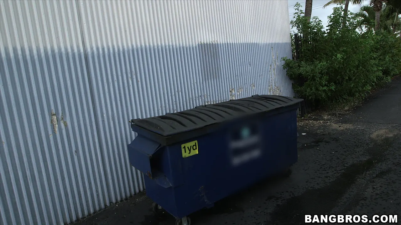 Bangbros 'Latina amateur picked up from jail' starring Danira Love (Photo 140)