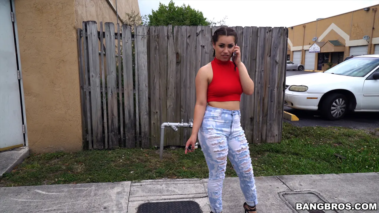 Bangbros 'Scooping up a Chonga' starring Demi Lowe (Photo 87)