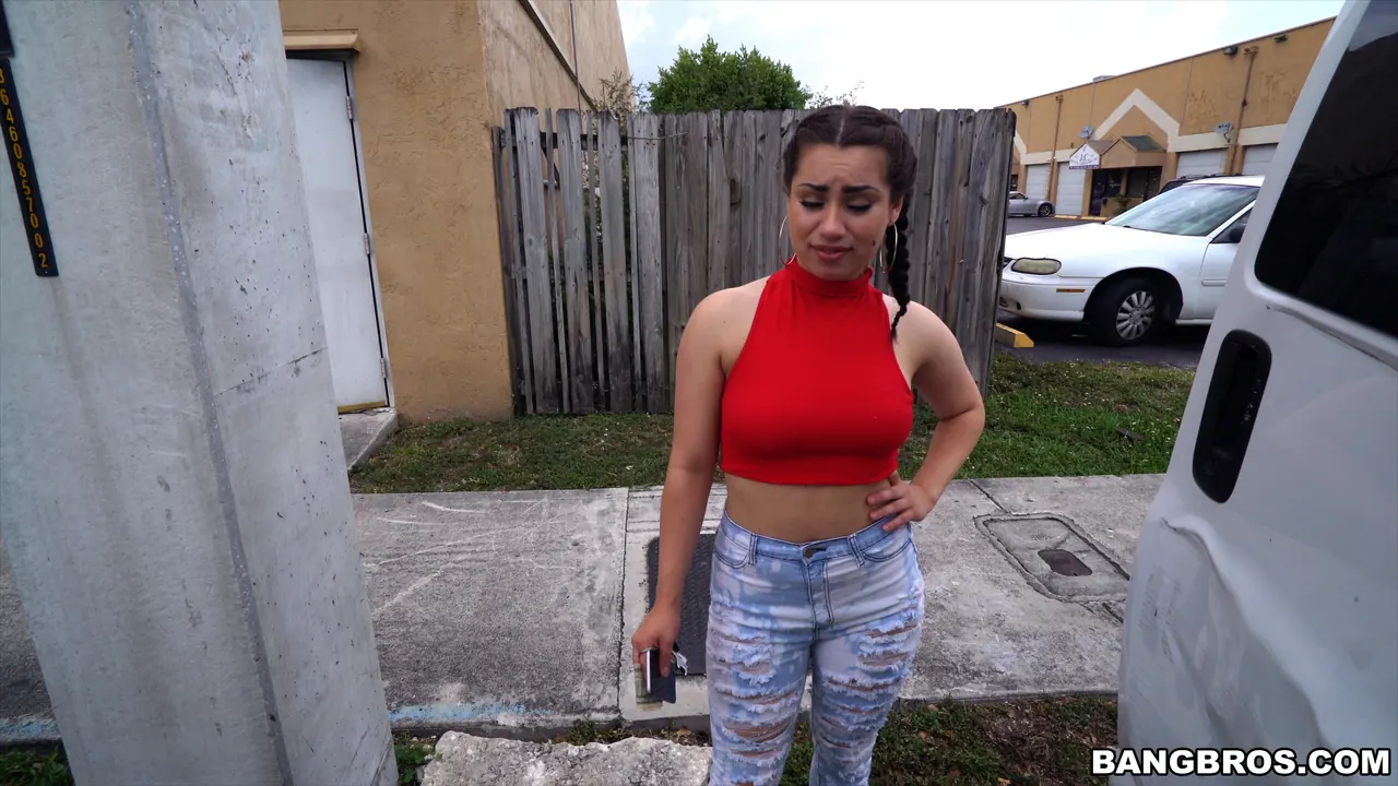 Bangbros 'Scooping up a Chonga' starring Demi Lowe (Photo 145)