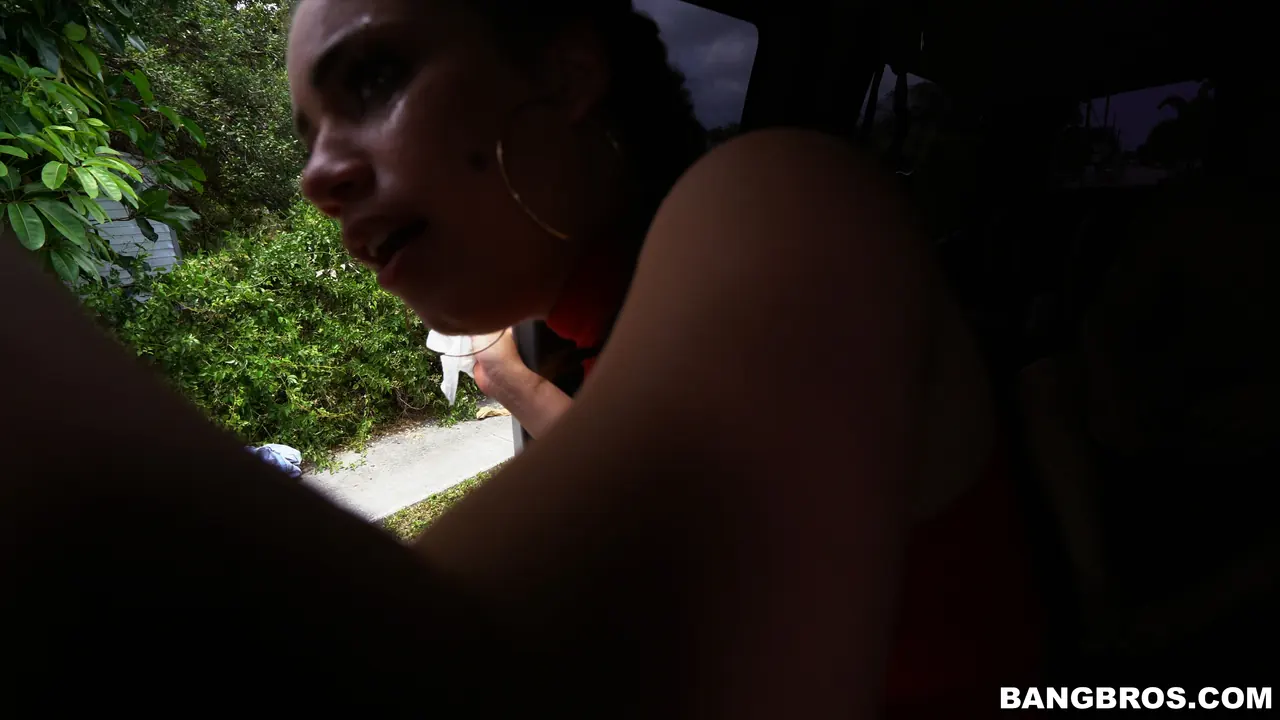 Bangbros 'Scooping up a Chonga' starring Demi Lowe (Photo 870)