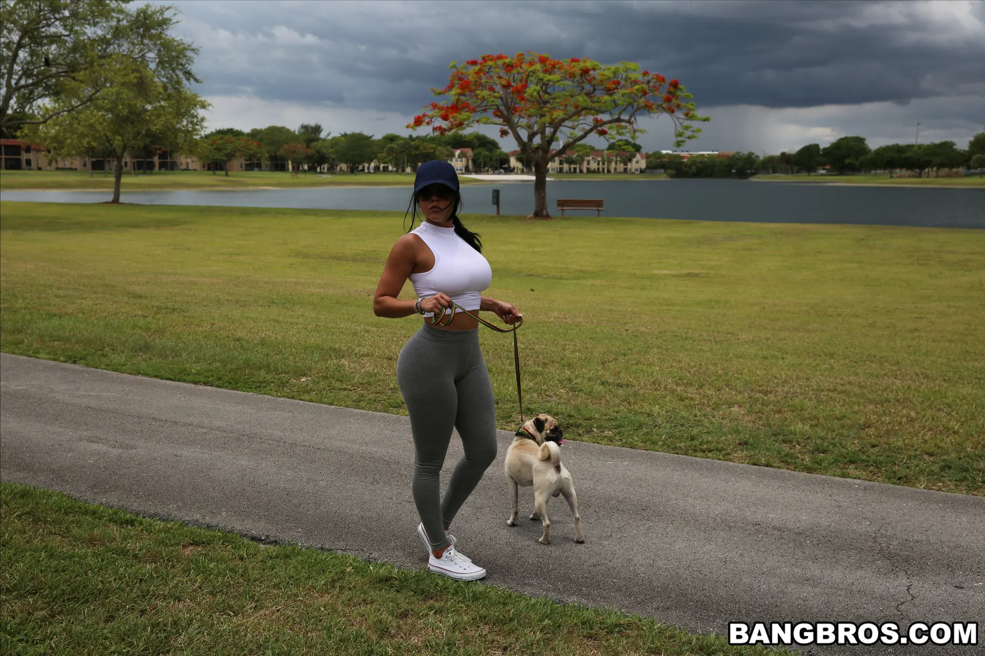 Bangbros 'Arrives at Anal City' starring Diamond Kitty (Photo 30)