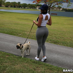 Diamond Kitty in 'Bangbros' Arrives at Anal City (Thumbnail 45)