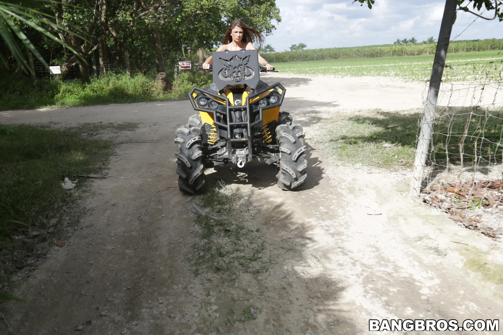 Dillion Carter in 'A Sexy Ride with Big Natural Tits' from 'Bangbros' (Photo 99) Bangbros 'A Sexy Ride with Big Natural Tits' starring Dillion Carter (Photo 99)