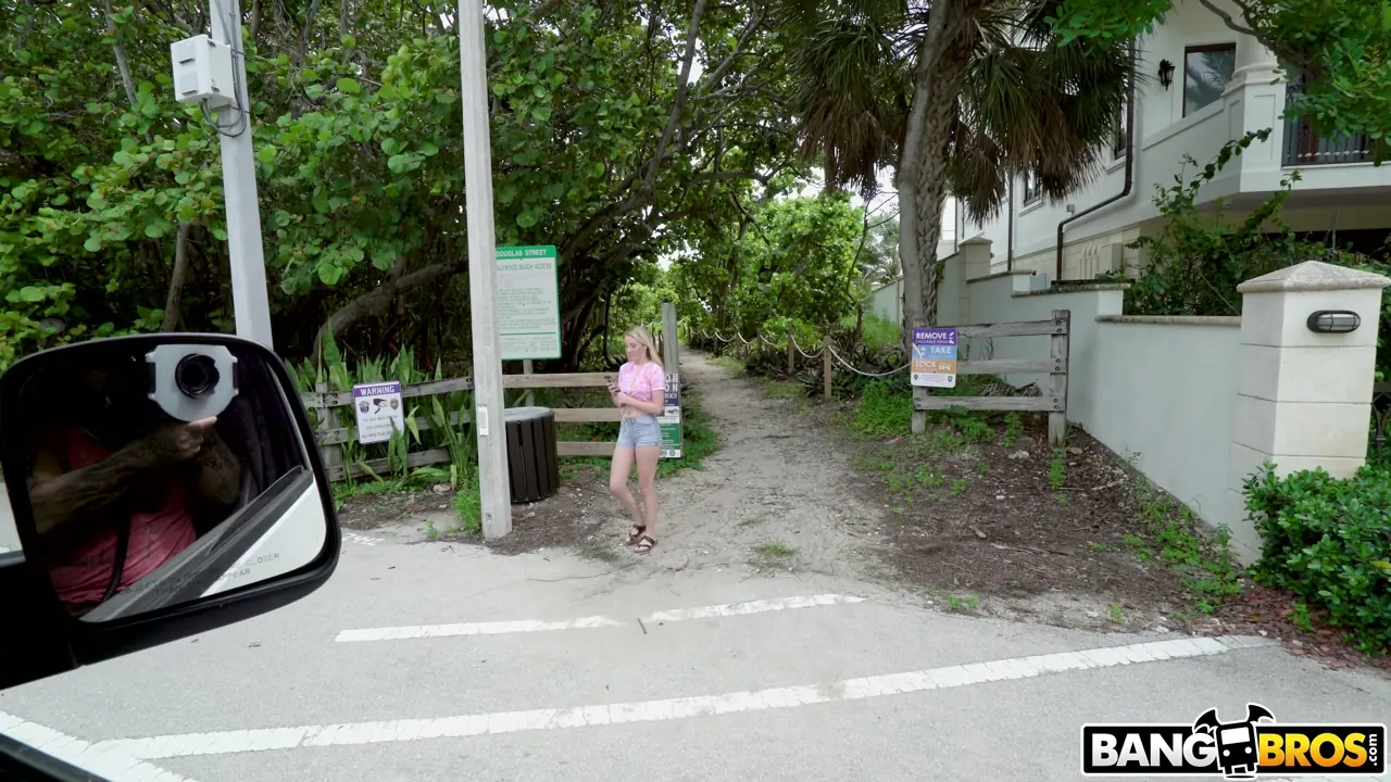 Bangbros 'Shy Southern Chick is a Low Key Freak' starring Dixie Lynn (Photo 1)