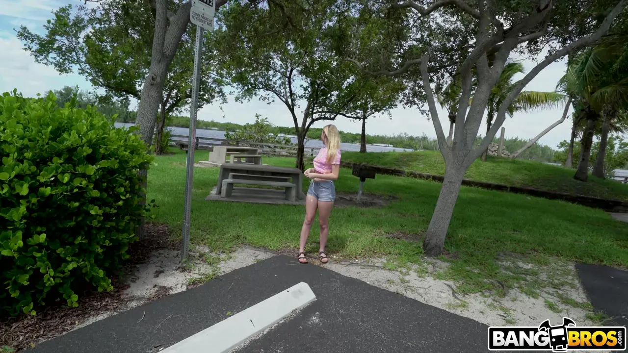 Bangbros 'Shy Southern Chick is a Low Key Freak' starring Dixie Lynn (Photo 105)