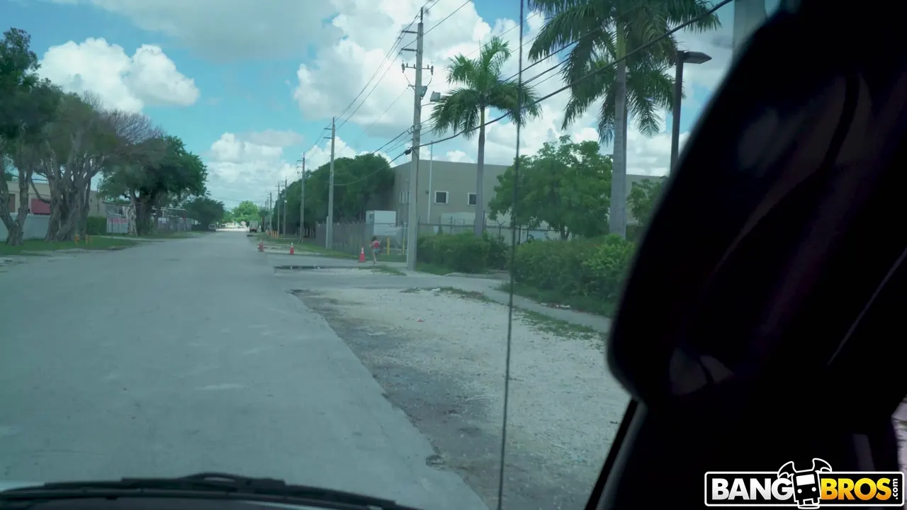 Bangbros 'Stripper With Double D's Hops on The Bus' starring Dylann Vox (Photo 1)