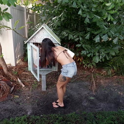 Eevee Luna in 'Bangbros' The Miami Experience (Thumbnail 61)