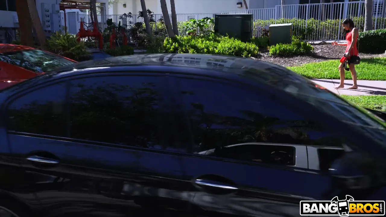 Elle Monela in 'The Perfect Walk Of Shame' from 'Bangbros' (Photo 33) Bangbros 'The Perfect Walk Of Shame' starring Elle Monela (Photo 33)