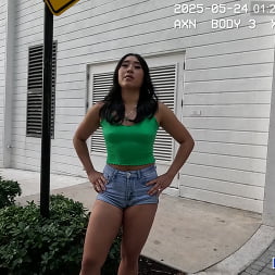 Emerald Loves in 'Bangbros' Charged With Disturbing the Pussy! (Thumbnail 42)