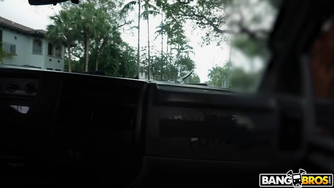 Bangbros 'Essie's Ass Makes It Snow On The Bus' starring Ethan Seeks (Photo 1)