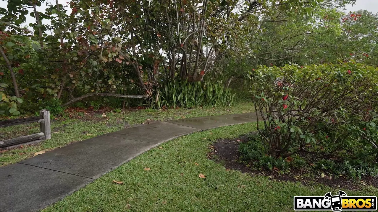 Bangbros 'Essie's Ass Makes It Snow On The Bus' starring Ethan Seeks (Photo 75)