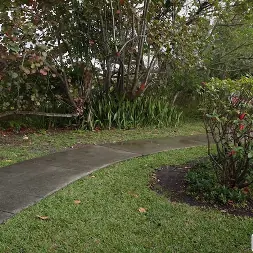 Ethan Seeks in 'Bangbros' Essie's Ass Makes It Snow On The Bus (Thumbnail 75)