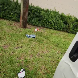 Evelyn Payne en 'Bangbros' Follando duro a Evelyn (Miniatura 750)