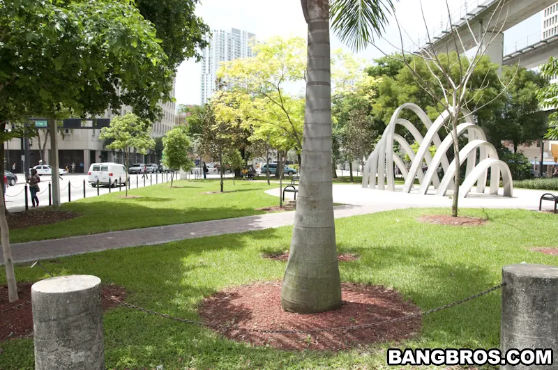 Bangbros 'El coño nuevo es el mejor coño' protagonizando Gia Malone (foto 1)