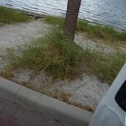 Gianna Ivy en 'Bangbros' Las strippers necesitan pene, no dinero (Miniatura 224)