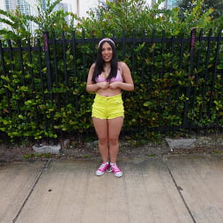 Gigi Star en 'Bangbros' Entrenar con Gigi (Miniatura 232)