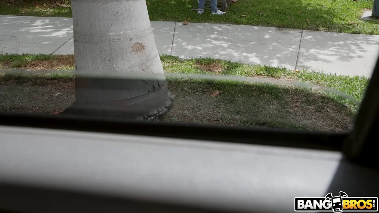 Bangbros 'Chica cachonda salta en el autobús' protagonizando Graycee Baybee (foto 455)