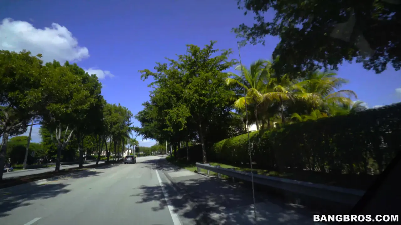 Bangbros 'Petite cutie shows her wild side' starring Hailey Little (Photo 1)