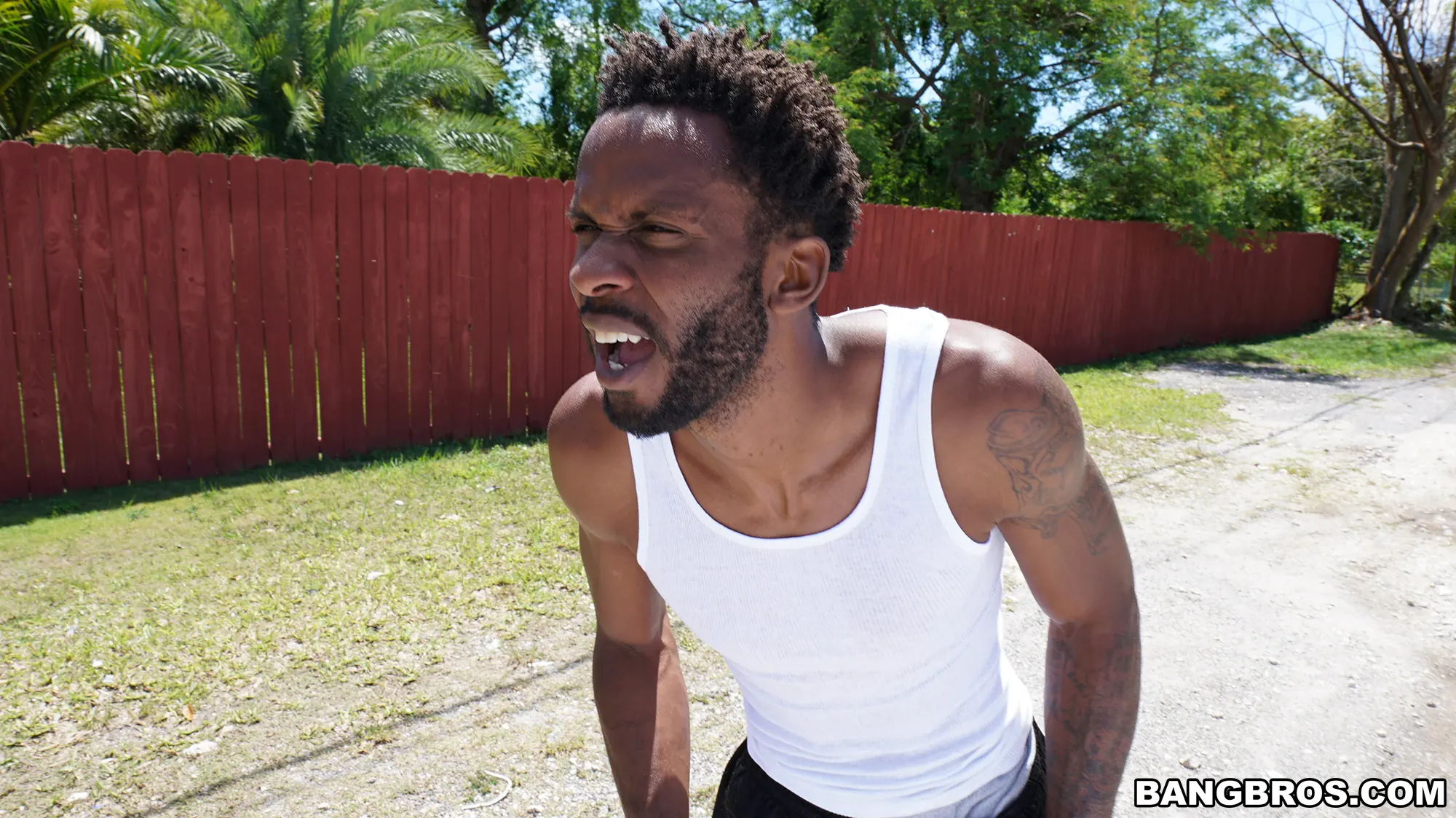 Bangbros 'Great way to exercise with Harley Jade and her big ass' starring Harley Jade (Photo 1)