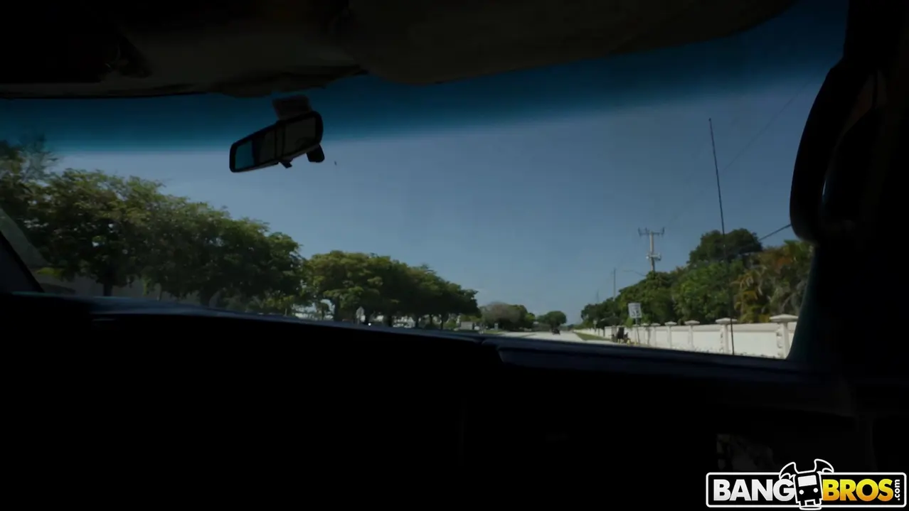 Bangbros 'A Harper le encanta el dinero y el sexo anal' protagonizando Harper Madison (foto 1)