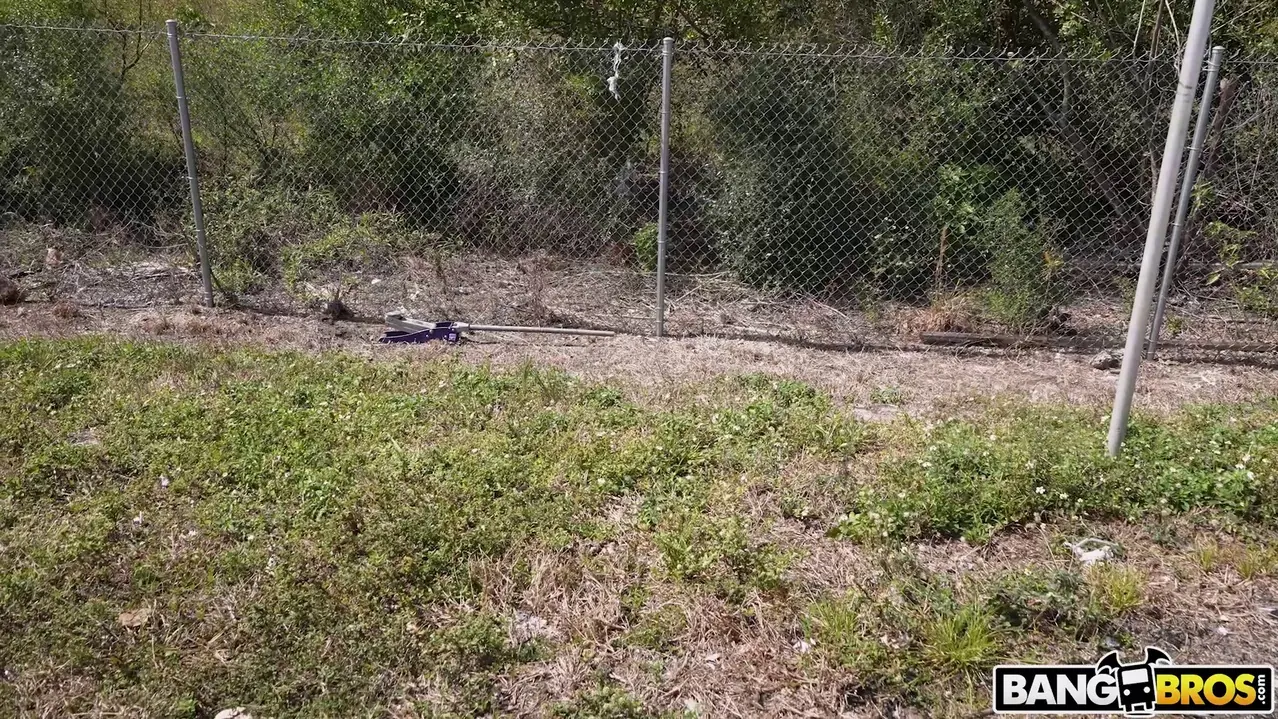 Harper Madison en 'A Harper le encanta el dinero y el sexo anal' from 'Bangbros' (foto 476) Bangbros 'A Harper le encanta el dinero y el sexo anal' protagonizando Harper Madison (foto 476)