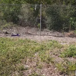 Harper Madison en 'Bangbros' A Harper le encanta el dinero y el sexo anal (Miniatura 476)