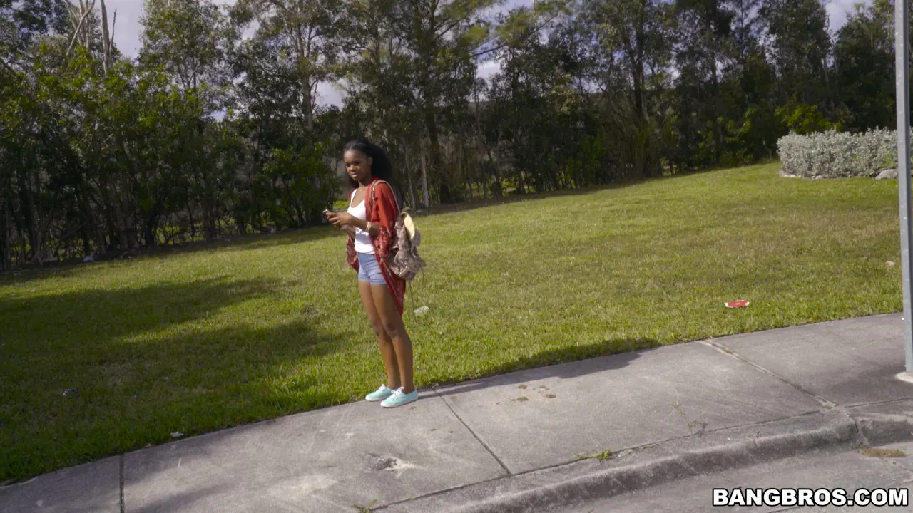 Bangbros 'Pequeño coño negro para un burrito grande y gordo' protagonizando Haylee Wynters (foto 66)