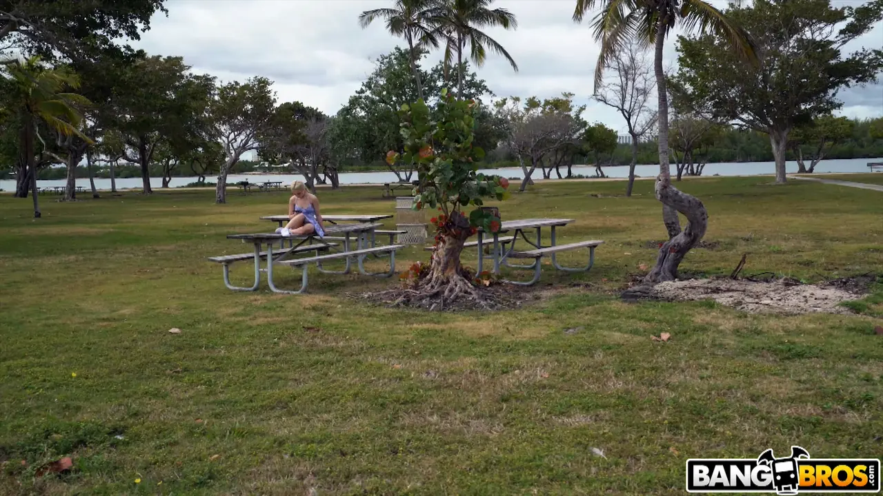 Bangbros '19 Year Old Beauty Hops on The Bus' starring Jane Wilde (Photo 1)