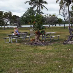 Jane Wilde in 'Bangbros' 19 Year Old Beauty Hops on The Bus (Thumbnail 1)