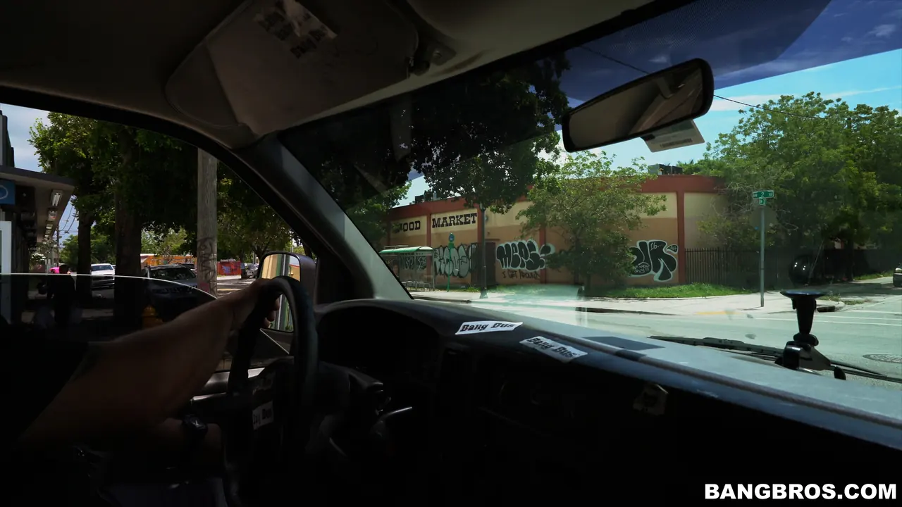 Jeleana en 'Gran Robo Canino' from 'Bangbros' (foto 25) Bangbros 'Gran Robo Canino' protagonizando Jeleana (foto 25)