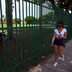 Jeleana in Grand Theft Canine (Photo 50) Jeleana in 'Bangbros' Grand Theft Canine (Thumbnail 50)