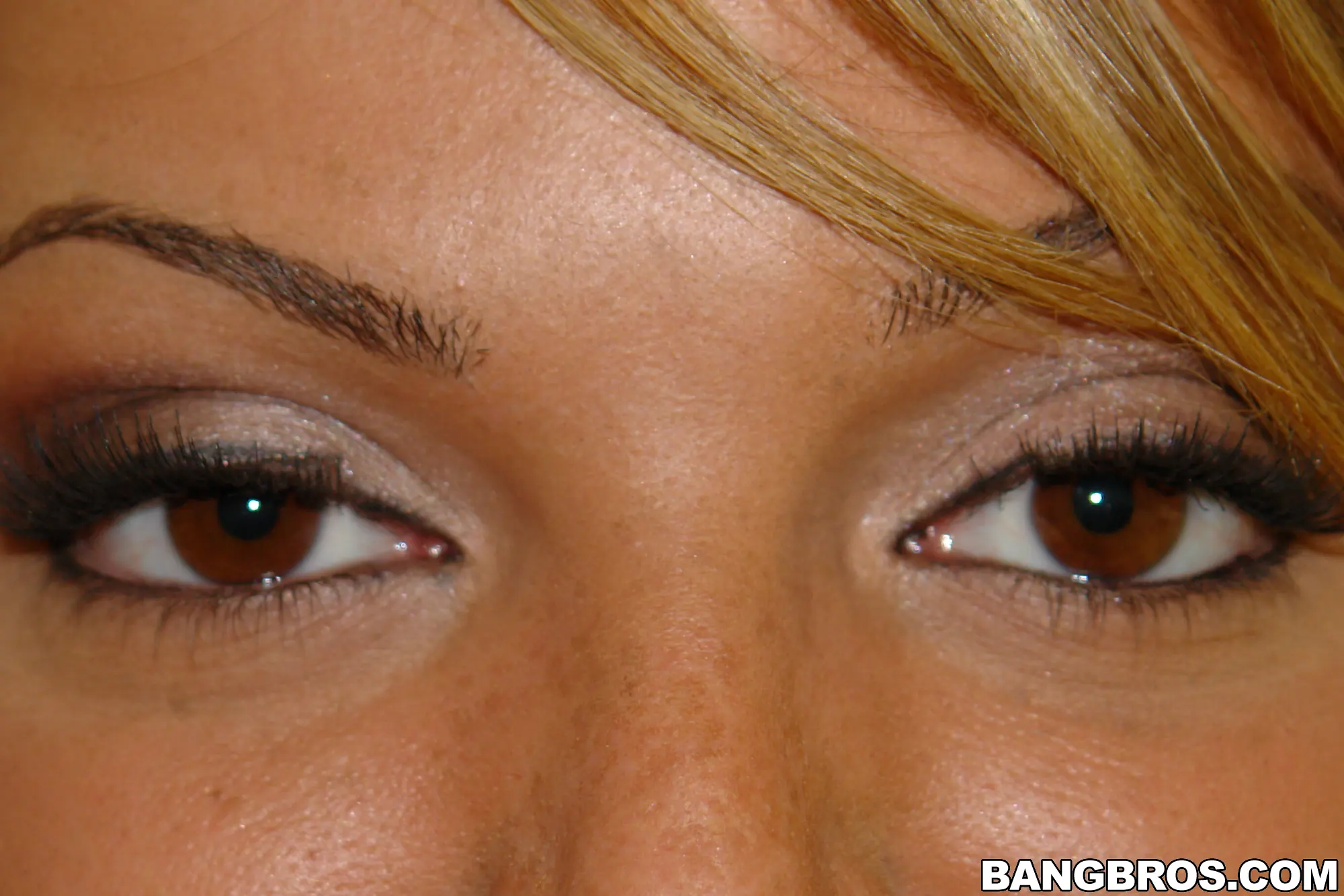 Bangbros 'Despide a tu jefe' protagonizando Jessi Summers (foto 54)