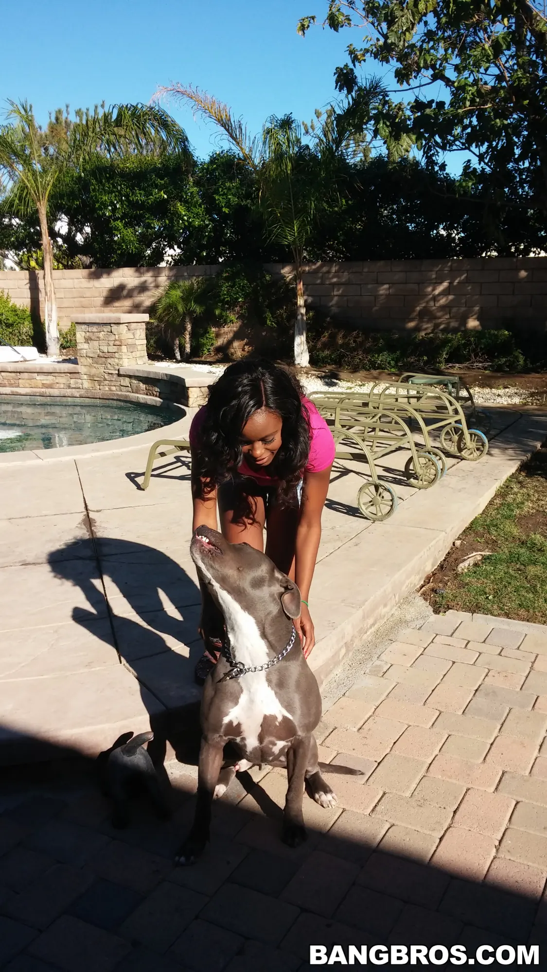 Jezabel Vessir en 'Tetas de ébano naturales y sexys' from 'Bangbros' (foto 1) Bangbros 'Tetas de ébano naturales y sexys' protagonizando Jezabel Vessir (foto 1)