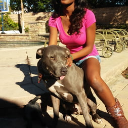 Jezabel Vessir en 'Bangbros' Tetas de ébano naturales y sexys (Miniatura 5)