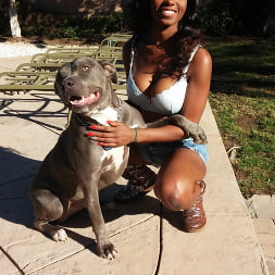 Jezabel Vessir en 'Bangbros' Tetas de ébano naturales y sexys (Miniatura 10)